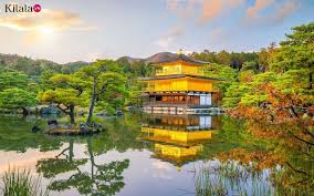 TUYỂN THỰC TẬP SINH LÀM VIỆC TẠI NHẬT BẢN ( ĐƠN HÀNG HĐ 1 NĂM )