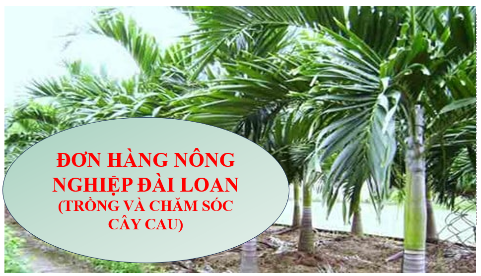THÔNG BÁO TUYỂN LAO ĐỘNG ĐI LÀM VIỆC TẠI ĐÀI LOAN ĐƠN HÀNG NÔNG NGHIỆP