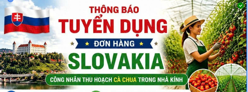 THÔNG BÁO TUYỂN DỤNG LÀM VIỆC TẠI SLOVAKIA - NGÀNH NÔNG NGHIỆP🔥🔥